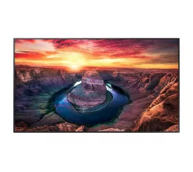 Ecran Samsung DM 65