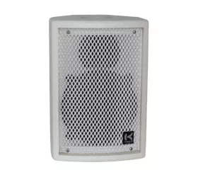Speaker Hortus Contract CT15