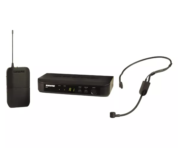 Micro Shure BLX14/P31's rental