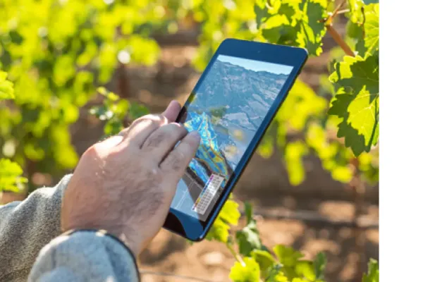 L’iPad et la vigne de demain : des millésimes comme avant, aujourd’hui